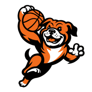 Cane che gioca a basket