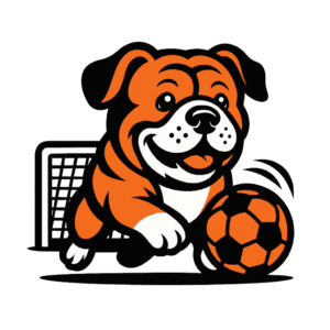 Cane gioca a calcio felice